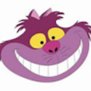 Meet your Posher, Cat